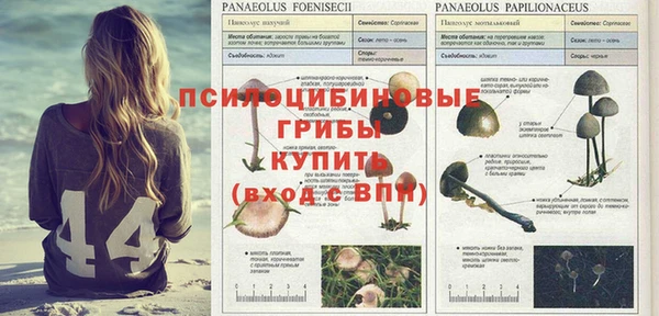 кокаин премиум Горняк